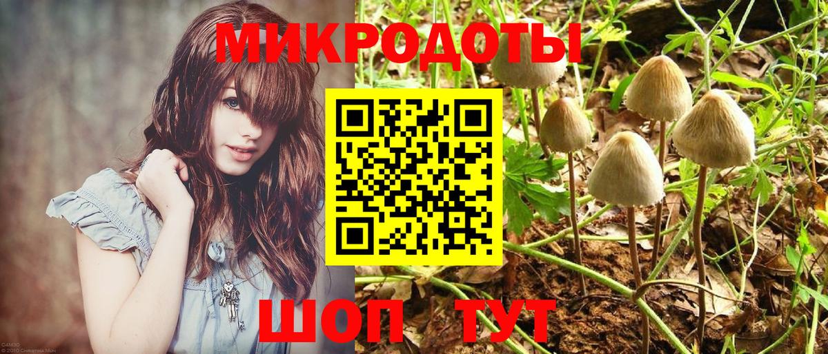 Псилоцибиновые грибы Magic Shrooms Красный Сулин