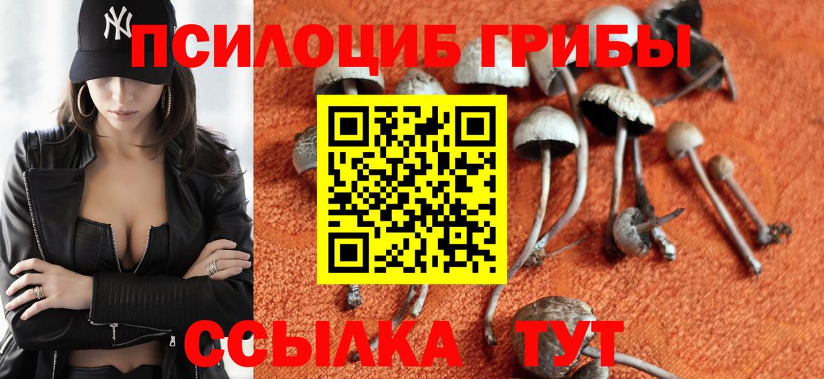 Кокаин  Мефедрон кристаллы  Канабис  Бошки Шишки  COCAIN  Красный Сулин  Вход с VPN  Где купить  МДМА  Меф  ГАШ  LSD-25 