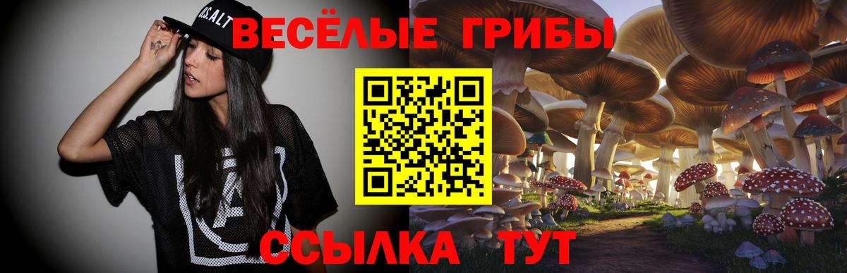 Красный Сулин  Псилоцибиновые грибы MAGIC MUSHROOMS  Вход с VPN 