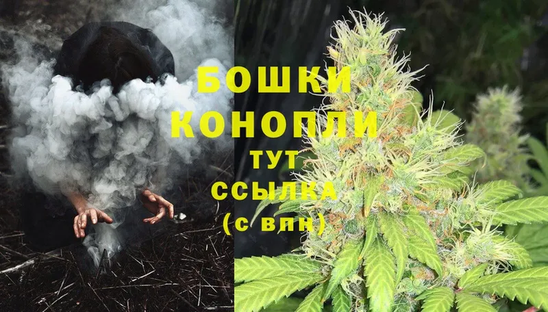 Бошки Шишки LSD WEED  Красный Сулин 